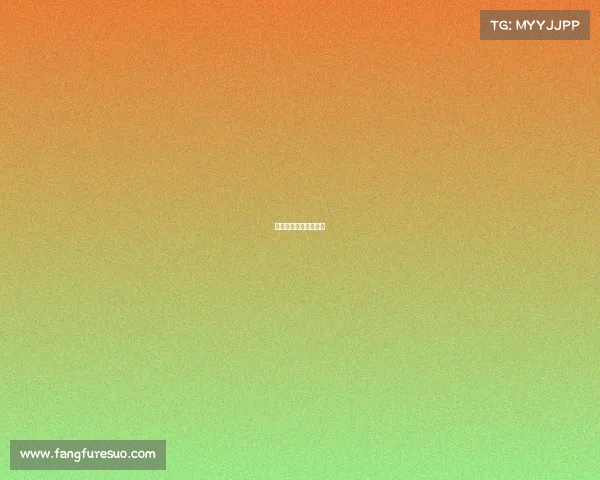 上海今天的赛事有哪些