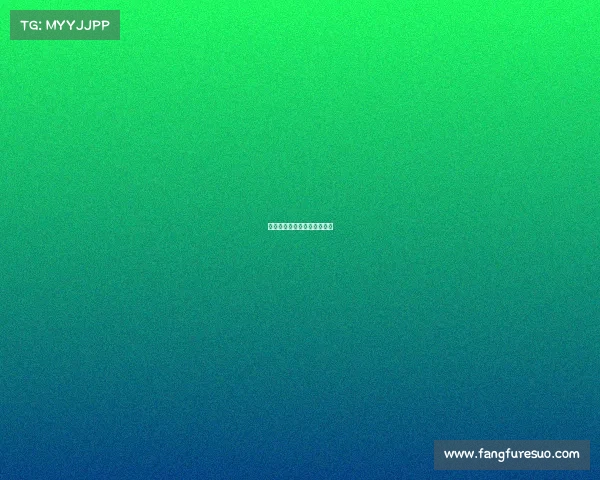 法国国内赛事—法国比赛记录